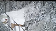 Archiv Foto Webcam Willingen: Loipe an der Schanze 13:00