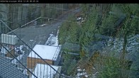 Archived image Webcam Willingen - Cross Country Trail at Ski Jumping Area 07:00