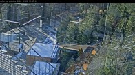 Archived image Webcam Willingen - Cross Country Trail at Ski Jumping Area 09:00