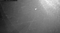 Archived image Webcam Willingen - Cross Country Trail at Ski Jumping Area 21:00