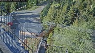 Archiv Foto Webcam Willingen: Loipe an der Schanze 06:00