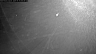 Archiv Foto Webcam Willingen: Loipe an der Schanze 23:00