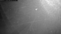 Archiv Foto Webcam Willingen: Loipe an der Schanze 01:00