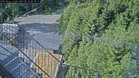 Archived image Webcam Willingen - Cross Country Trail at Ski Jumping Area 07:00
