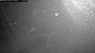 Archiv Foto Webcam Willingen: Loipe an der Schanze 01:00
