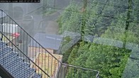 Archiv Foto Webcam Willingen: Loipe an der Schanze 06:00