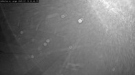 Archived image Webcam Willingen - Cross Country Trail at Ski Jumping Area 01:00