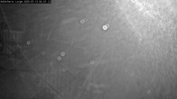 Archived image Webcam Willingen - Cross Country Trail at Ski Jumping Area 03:00