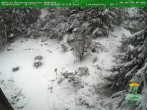 Archived image Webcam Oberhof - View Botanic Garden 09:00
