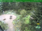 Archived image Webcam Oberhof - View Botanic Garden 11:00
