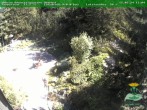 Archived image Webcam Oberhof - View Botanic Garden 11:00