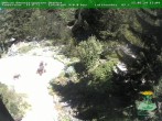 Archived image Webcam Oberhof - View Botanic Garden 13:00