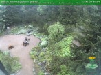 Archived image Webcam Oberhof - View Botanic Garden 07:00