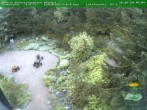 Archived image Webcam Oberhof - View Botanic Garden 05:00
