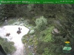 Archived image Webcam Oberhof - View Botanic Garden 17:00