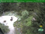 Archived image Webcam Oberhof - View Botanic Garden 19:00