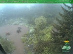 Archived image Webcam Oberhof - View Botanic Garden 05:00