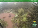 Archived image Webcam Oberhof - View Botanic Garden 06:00