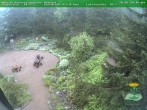 Archived image Webcam Oberhof - View Botanic Garden 07:00