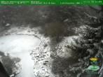 Archived image Webcam Oberhof - View Botanic Garden 11:00