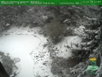 Archived image Webcam Oberhof - View Botanic Garden 13:00