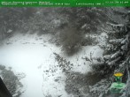 Archived image Webcam Oberhof - View Botanic Garden 15:00