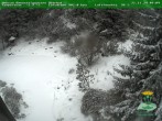 Archiv Foto Webcam Oberhof: Rennsteiggarten 09:00