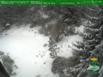 Archived image Webcam Oberhof - View Botanic Garden 11:00