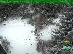 Archiv Foto Webcam Oberhof: Rennsteiggarten 18:00