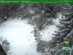 Archiv Foto Webcam Oberhof: Rennsteiggarten 09:00