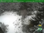 Archiv Foto Webcam Oberhof: Rennsteiggarten 13:00