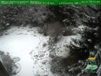 Archiv Foto Webcam Oberhof: Rennsteiggarten 15:00