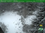 Archived image Webcam Oberhof - View Botanic Garden 09:00