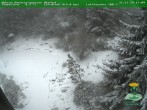 Archived image Webcam Oberhof - View Botanic Garden 13:00