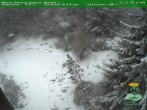 Archived image Webcam Oberhof - View Botanic Garden 15:00