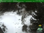 Archiv Foto Webcam Oberhof: Rennsteiggarten 09:00