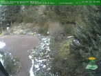 Archived image Webcam Oberhof - View Botanic Garden 15:00