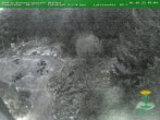 Archived image Webcam Oberhof - View Botanic Garden 05:00