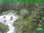 Archiv Foto Webcam Oberhof: Rennsteiggarten 05:00