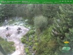 Archiv Foto Webcam Oberhof: Rennsteiggarten 06:00