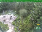 Archiv Foto Webcam Oberhof: Rennsteiggarten 07:00