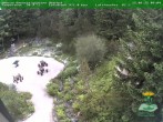 Archiv Foto Webcam Oberhof: Rennsteiggarten 09:00