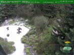 Archived image Webcam Oberhof - View Botanic Garden 13:00