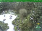 Archived image Webcam Oberhof - View Botanic Garden 05:00
