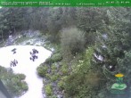 Archived image Webcam Oberhof - View Botanic Garden 07:00
