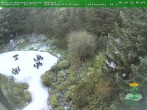 Archived image Webcam Oberhof - View Botanic Garden 05:00