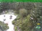 Archived image Webcam Oberhof - View Botanic Garden 07:00