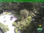 Archived image Webcam Oberhof - View Botanic Garden 11:00