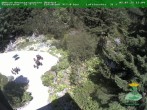 Archived image Webcam Oberhof - View Botanic Garden 15:00