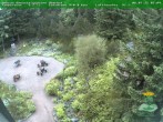 Archiv Foto Webcam Oberhof: Rennsteiggarten 05:00